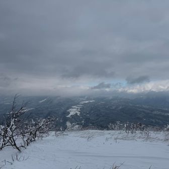 当然ながら大山は見えません