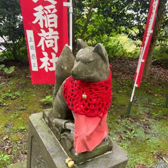 物騒な物を持ってますね😱