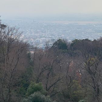 展望台からの伊丹空港