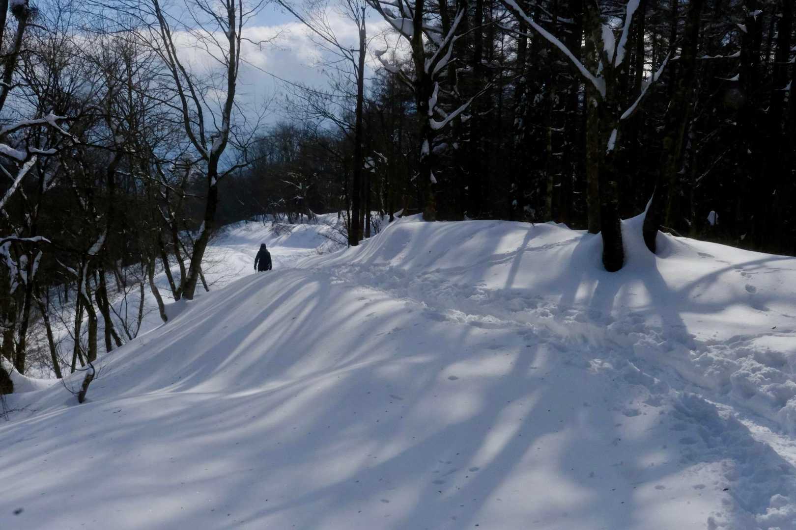帰り道、木の影がステキで
太陽の出待ち