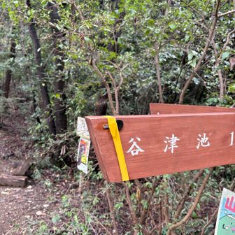 鍵の落し物
