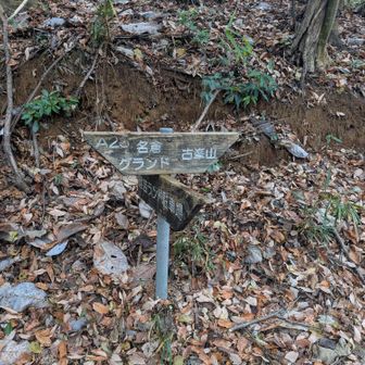 ここら辺、低山あるあるの道がいろいろあって迷いやすいので注意が必要です