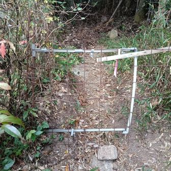 柵ありました