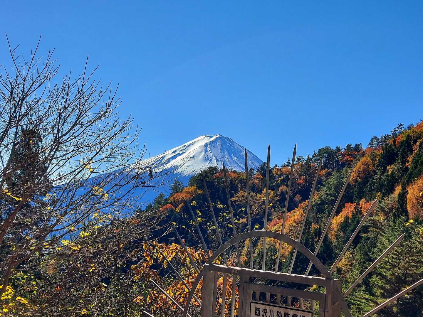 時折 富士山💕