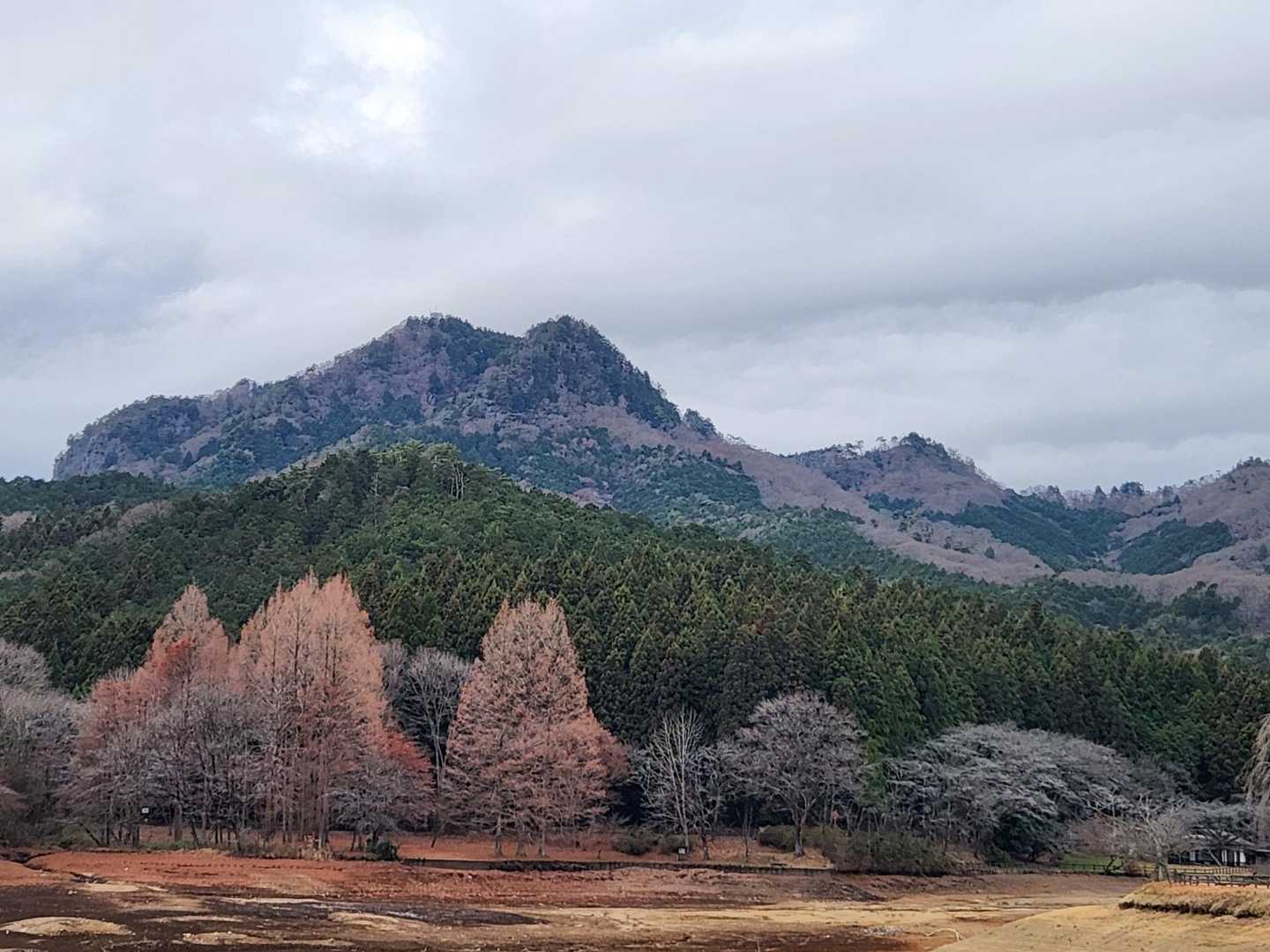 古賀志山