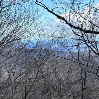 山頂からの景色