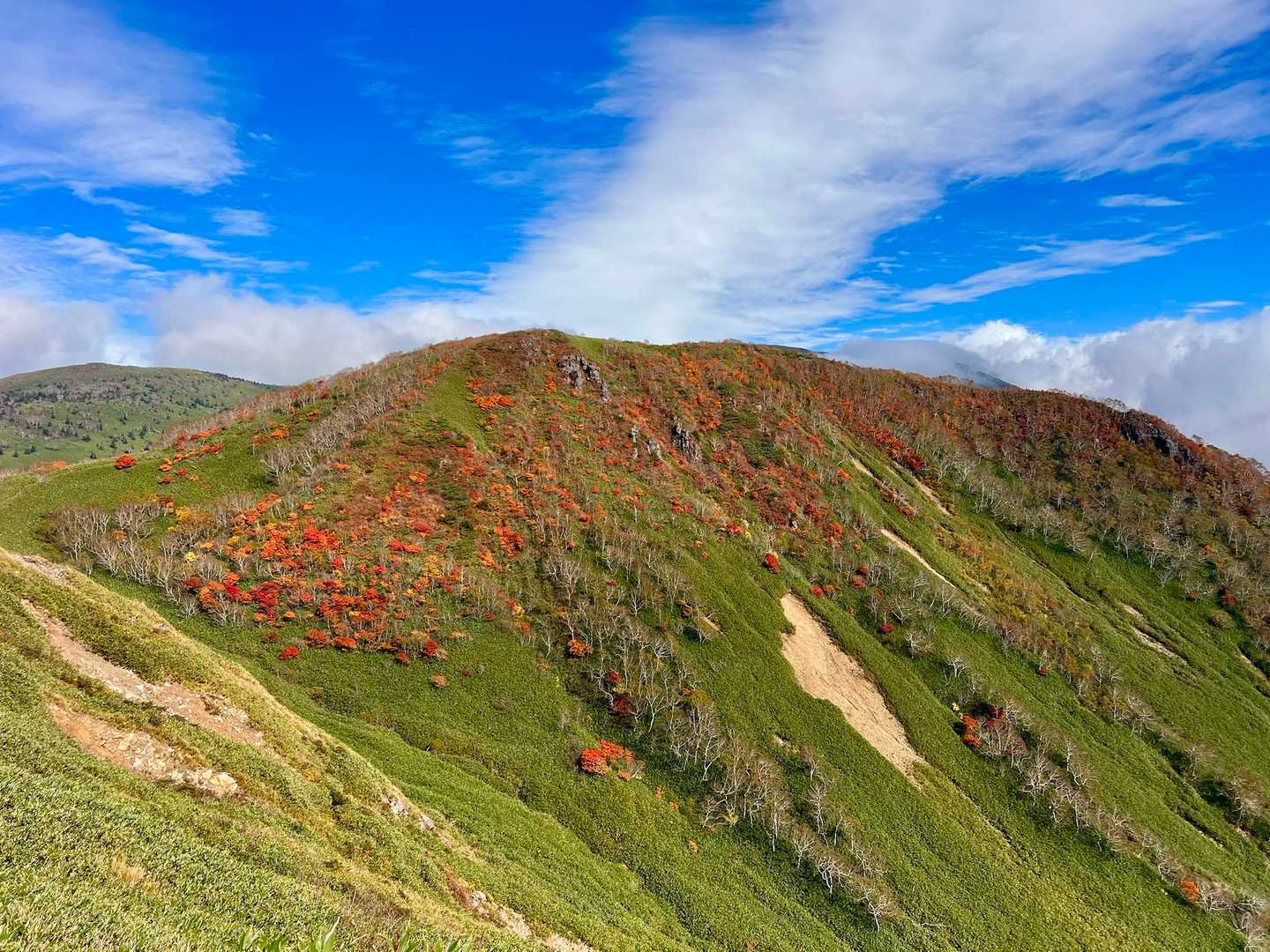 犬倉山の紅葉は見頃でした🍁