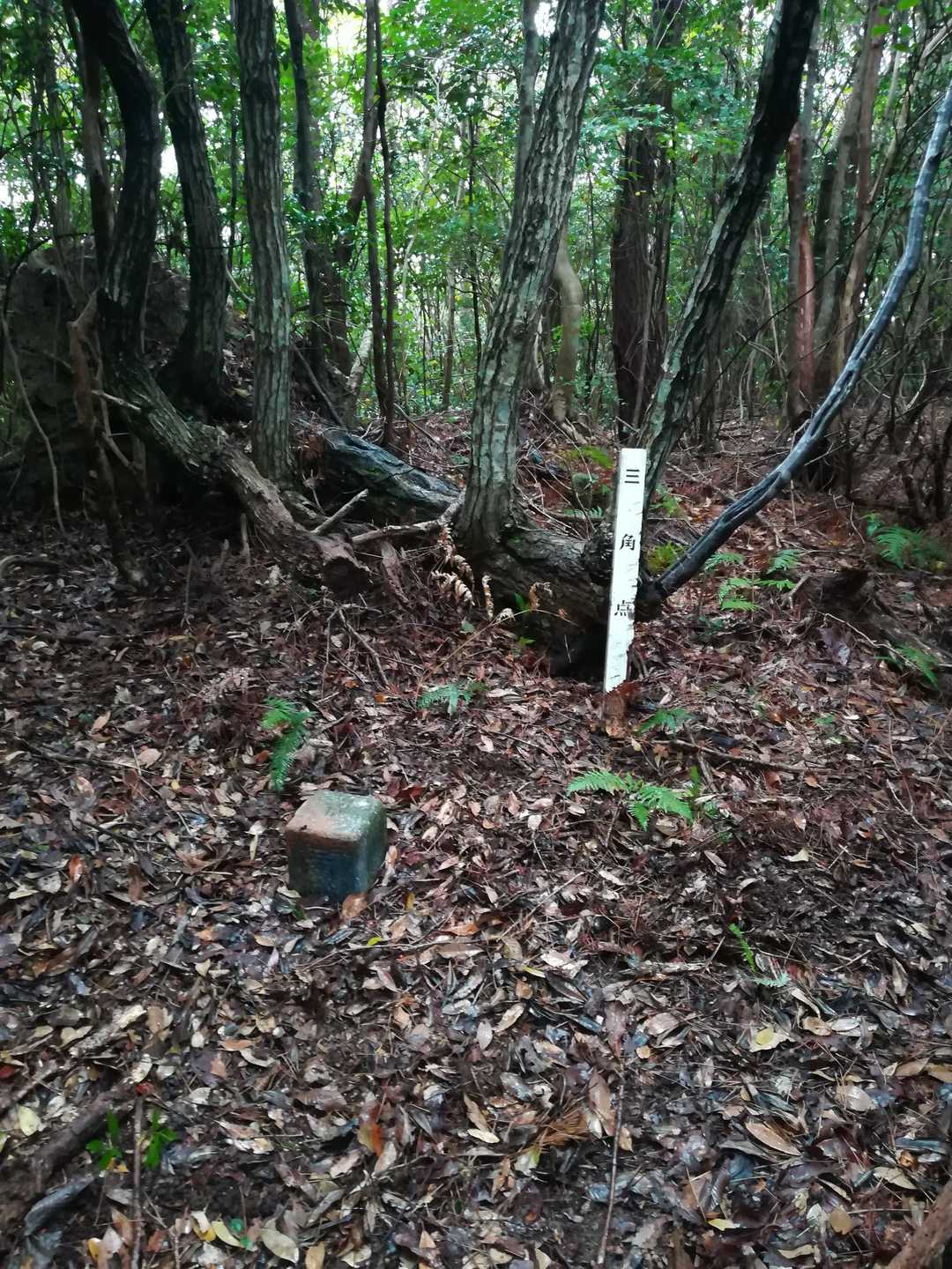 辻山山頂の三角点。
