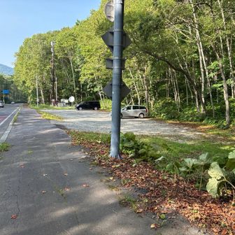 無事に戻ってきました。
自分の車（黒）合わせて2台しかないです。