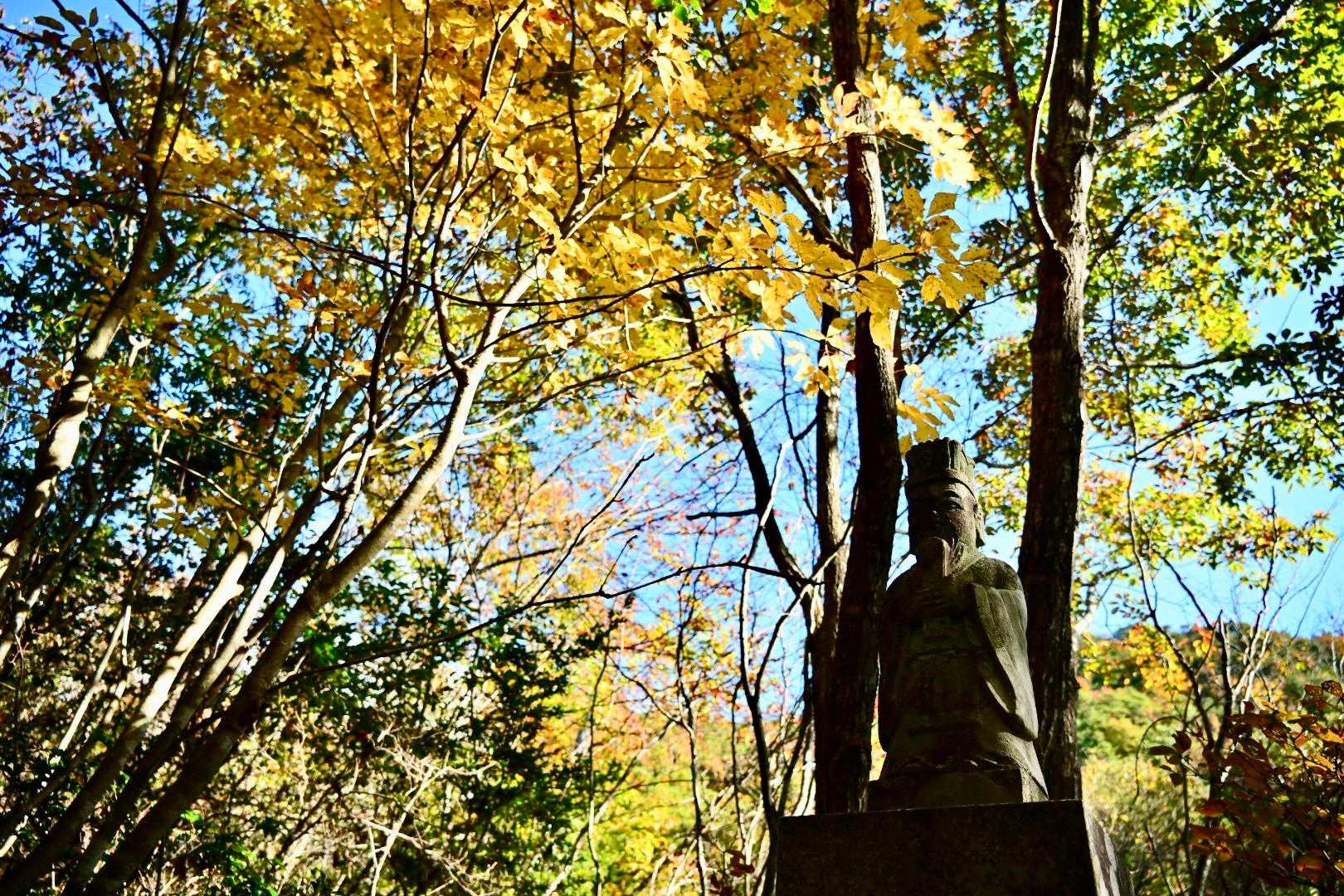 八幡神社-東天神嶽-天神嶽 往復コースの写真