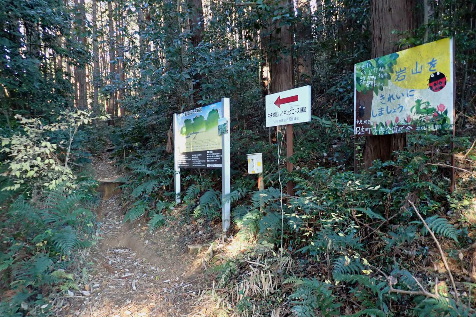 その先に登山口🐾

