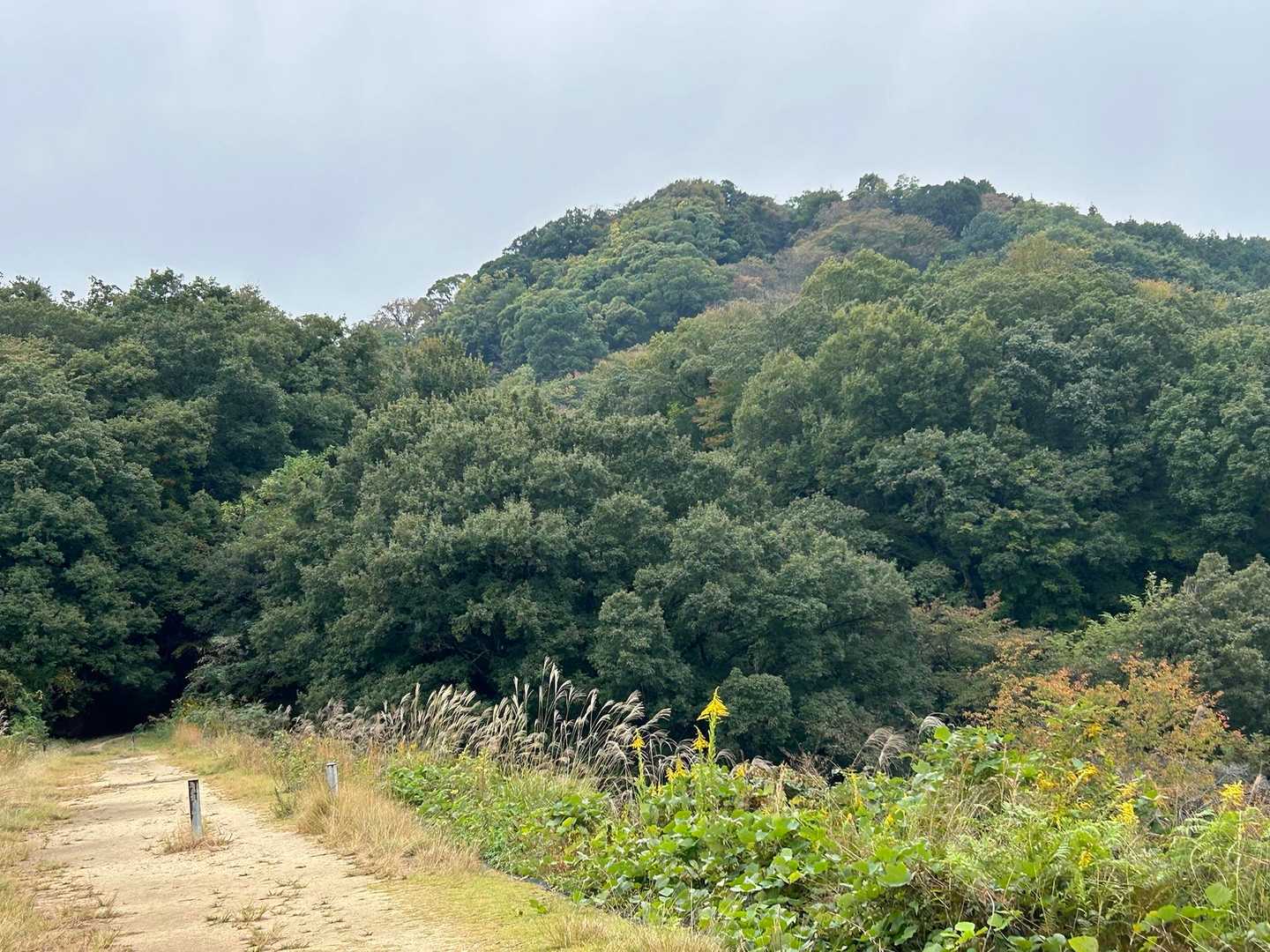 交野山