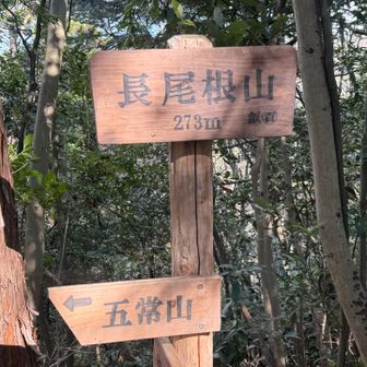 １つで良いな🫩