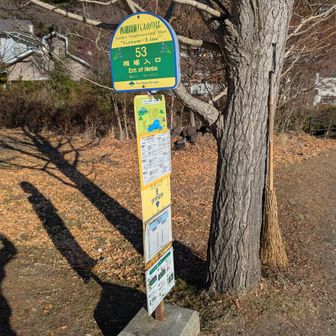 根場バス停　
14:12発になんとか間に合った！バスの到着は5分遅れ。
ここから西湖東口まで510円？スイカ・パスモ使えます。