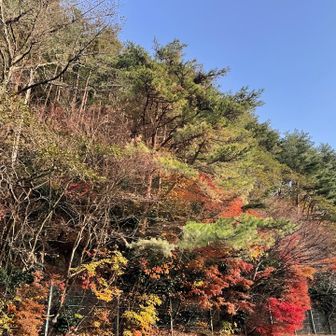 同じく駐車場付近