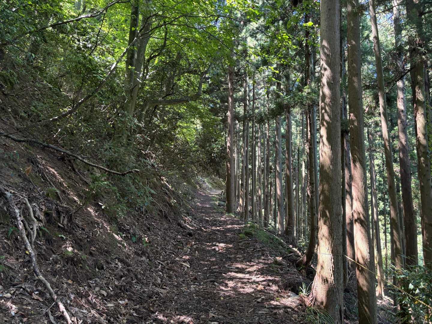 高須山 往復コースの写真