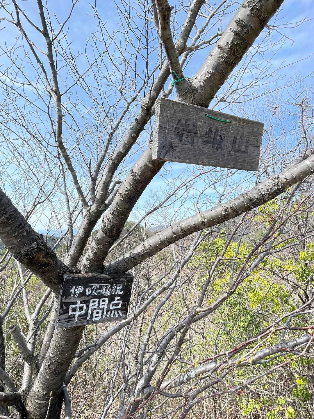 岩坂山⛰️
コーヒータイム☕️