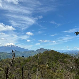 下山路でも富士山バッチリ👍