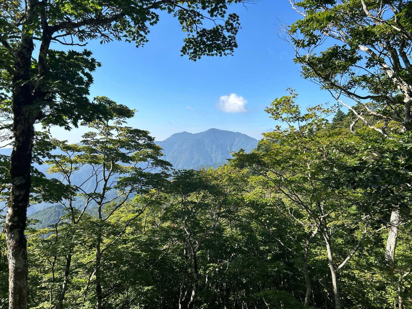 八経ヶ岳 | 近畿最高峰の絶景パノラマ。苔むす原生林を抜け大峰の峰々を望むの写真