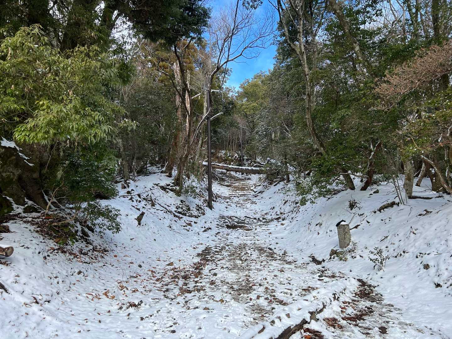愛宕神社参詣表登山道入口-サカサマ峠 周回コースの写真