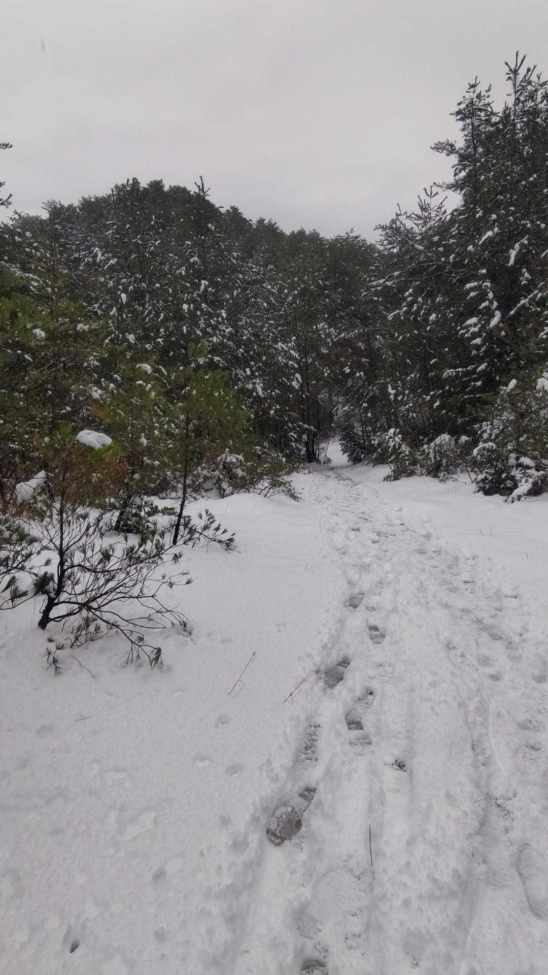 縦走感がいいよね