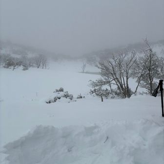 小女郎ヶ池の手前で休憩。ショベルで除雪し、マットを敷き、お汁粉　アルファ米などを食べた。あったかい食い物が嬉しい。話し合いではケーブルに頭下げて戻るか、そのまま志賀側に降りるかで楽そうな方にすることが決まった。しかし志賀側に降りる道は一度も行ったことがなく、ここまで見たいに誰も通っていないのであれば、とてつもない積雪なのでは、と不安だった。