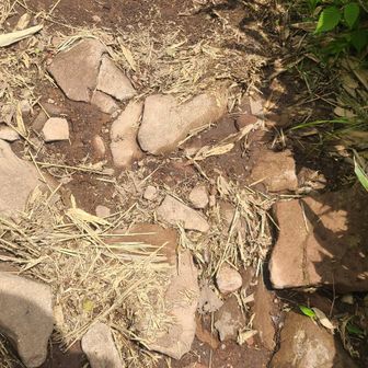 かなり雨が降ったらしく登山道に水が流れたあとが