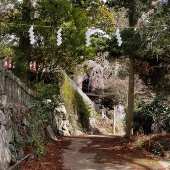 登りは白雲橋コースを選択。筑波山神社から少し歩きます。白雲橋は、筑波山神社から登山口に行く道中に架かっているコンクリート製の橋の名前です。