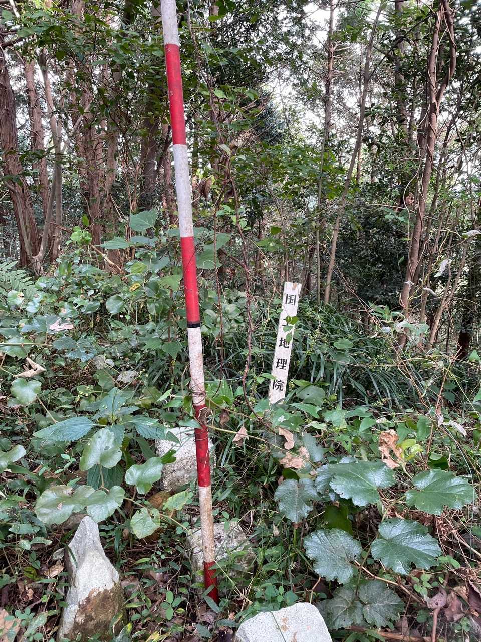 鴛ノ岳山頂に到着😃
このくらい目立つ柱があると、探すのに苦労する三角点も、藪山頂でもよーく見えます👍
ちなみに景色は見えません😓
差してくれた方、ありがとう❗️
