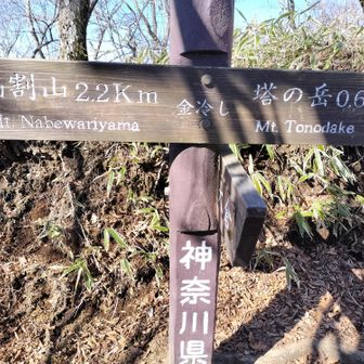 金冷やし。
ここで塔ノ岳か下山かの分岐となります。