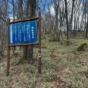 ここから登る、寒いな