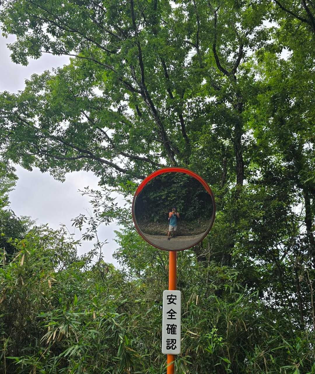 安全確認してたら🦍がいた！