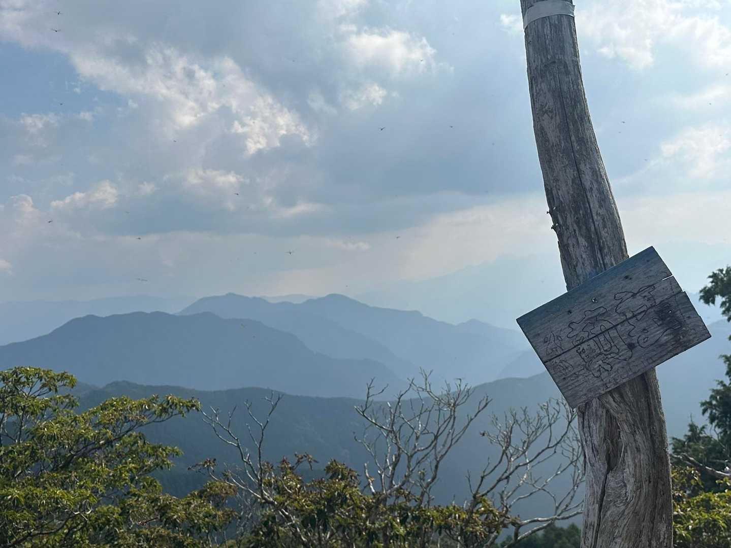 ▪︎ 薊岳⛰️▪︎

ここの山頂だけ蚊🦟がいっぱいだったので
すぐに退散💨
行き止まりかと思ったけどこの先に
もう1つピーク⛰️あり😊✨