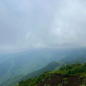 スタートしてたけど写真撮ってなかった💧‬
バス停のお手洗いに入ったら山ビル祭りやってた！！
だから念入りにスプレーしました。