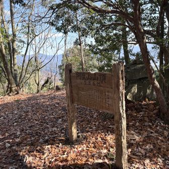 ここが頂上か？