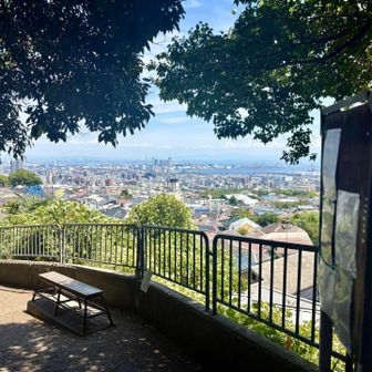 街が見えてきました👀✨
やっぱり、六甲山楽しいな〜

最後までご覧いただき、ありがとうございました(  . .)"