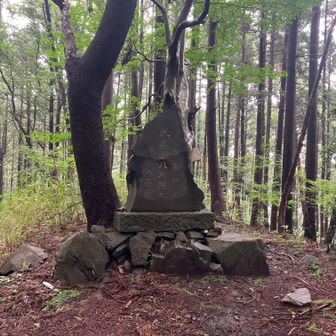 そのすぐ下
大峯山八大龍王　と彫ってある！