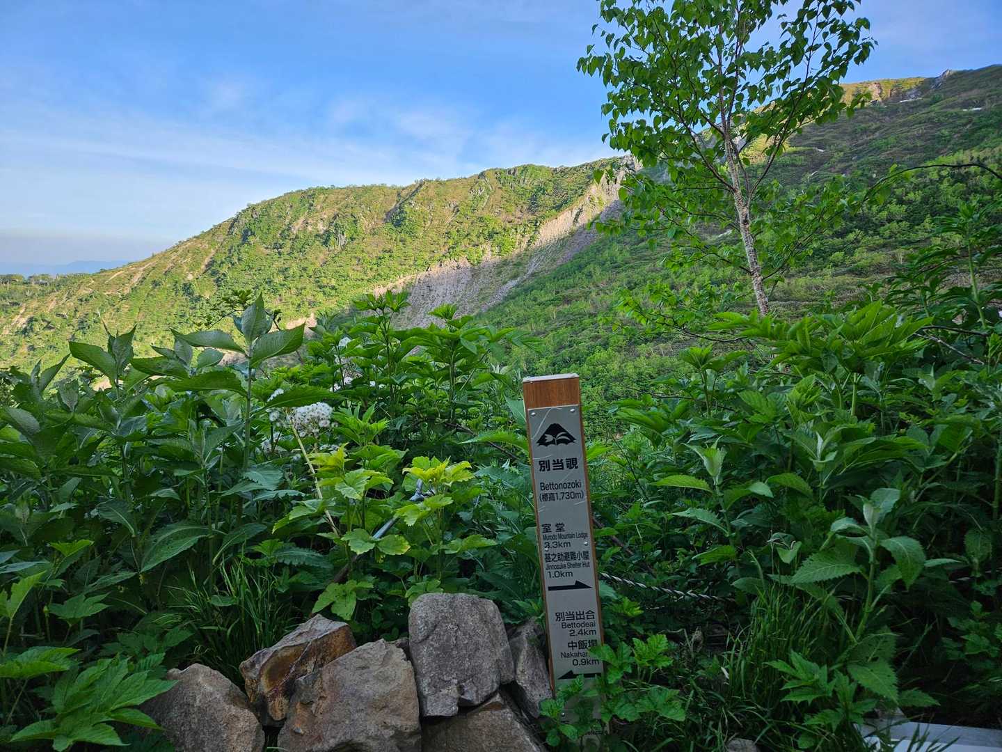 別当覗1,750m地点
今のところ、ずっと夏道で、雪はありません

緑が目に優しい🌳🌳🌳

白山は観光新道ルート、残雪期ルートで登ることが多く、ここはあまり登りで通る事がないので久しぶりで新鮮でした✨