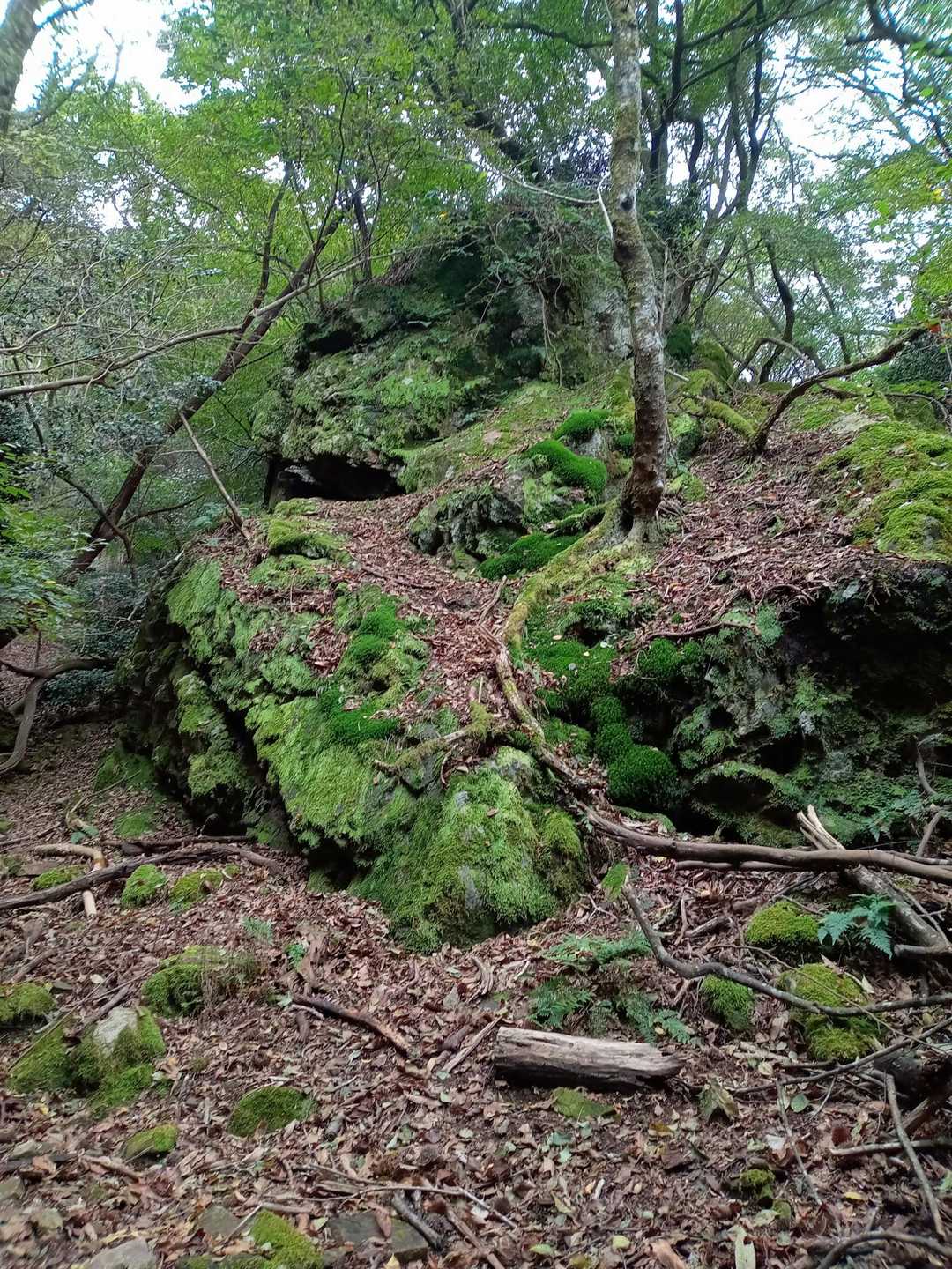 吹越峠-弥十郎ヶ嶽 往復コースの写真