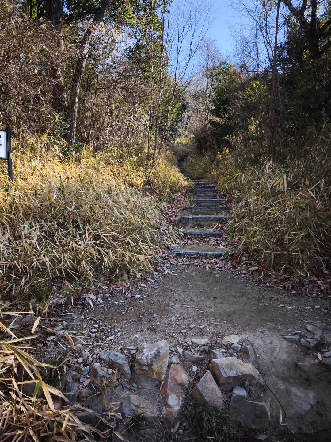 甲山へは頂上までずっと階段です💦