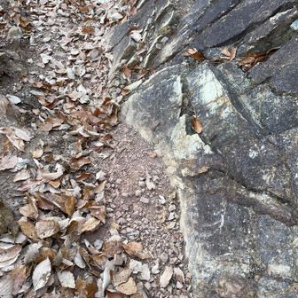 砂利が赤っぽい。関東ローム層の一部？