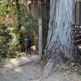 「白い手」に向かう