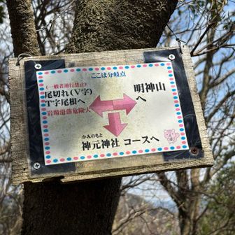 今までのは尾切れコースだった😭