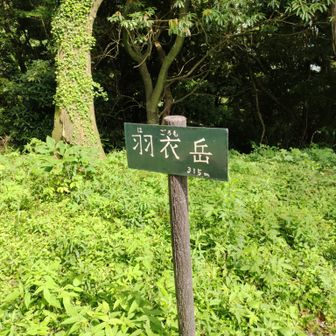 羽衣岳