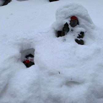仏像達も埋まってしまってますね〜。