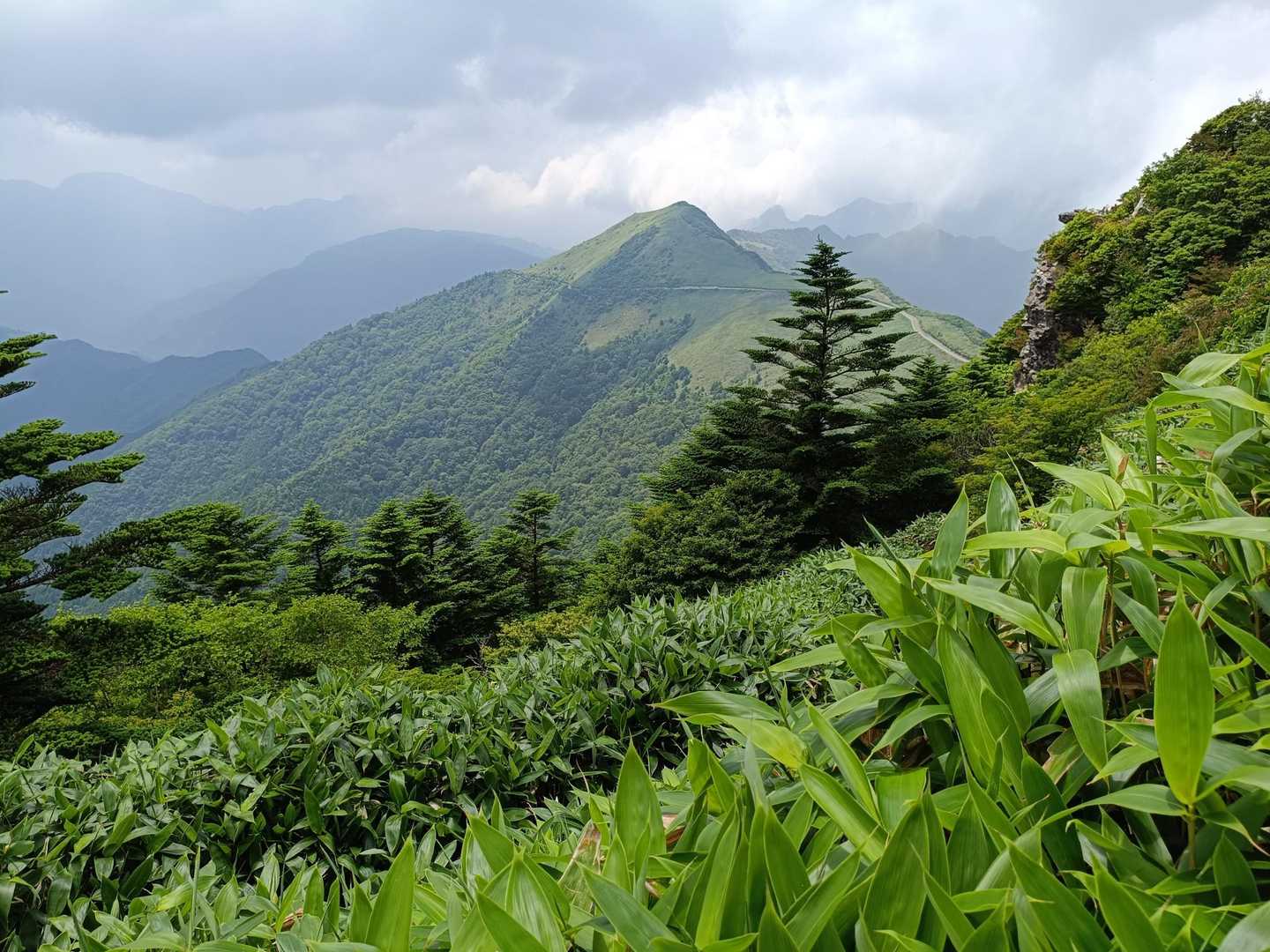 東黒森 往復コースの写真