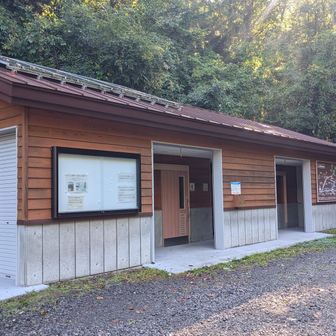 駐車場のトイレ綺麗です。