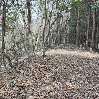 眺望なし…
最強急登ゆえの百名山という事だろうか？