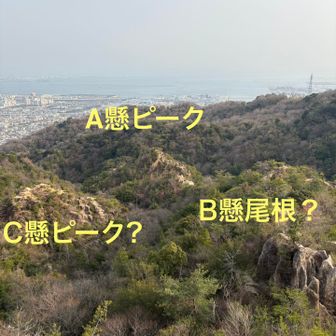 登った岩からロックガーデンを見渡せます。
ABCそれぞれの懸垂壁の位置をイメージして見る👀(助言頂き画像を少し修正)

黒岩谷へ行かずにロックガーデンを探索した方が面白かったか⁉️ でも黒岩谷が気になったからしょうがない😁

この後は一般登山ルートから下山しました🙋‍♂️