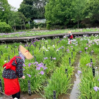 顔出しNGなのです。
（撮影の許可いただいてます）